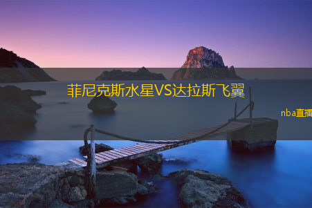 菲尼克斯水星VS达拉斯飞翼