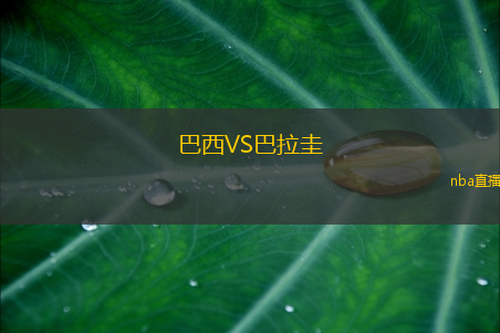 巴西VS巴拉圭
