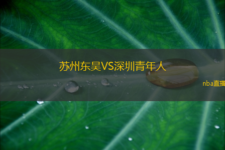 苏州东吴VS深圳青年人