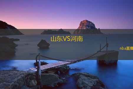 山东VS河南